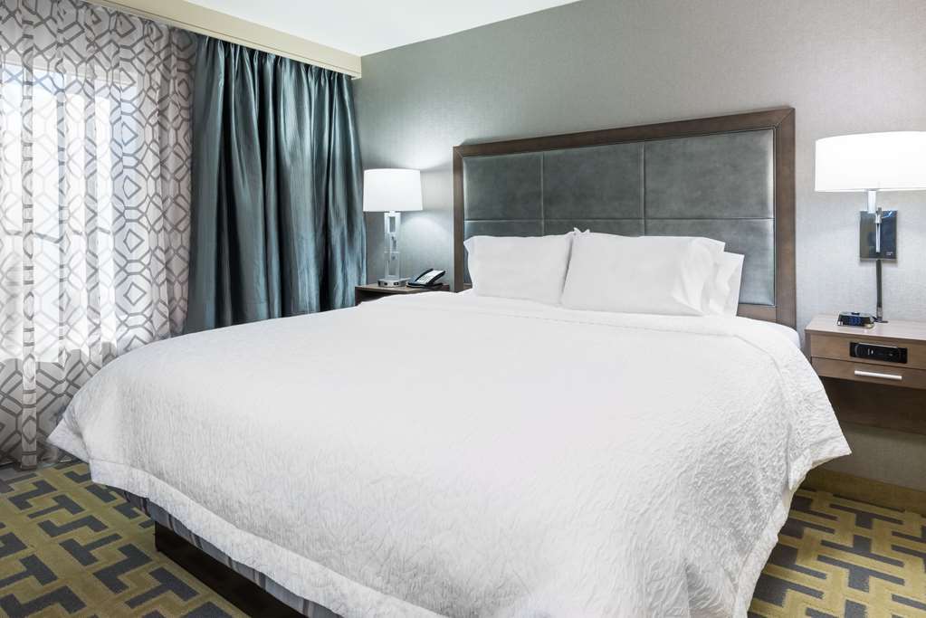 Hampton Inn & Suites Atlanta Buckhead Place Phòng bức ảnh